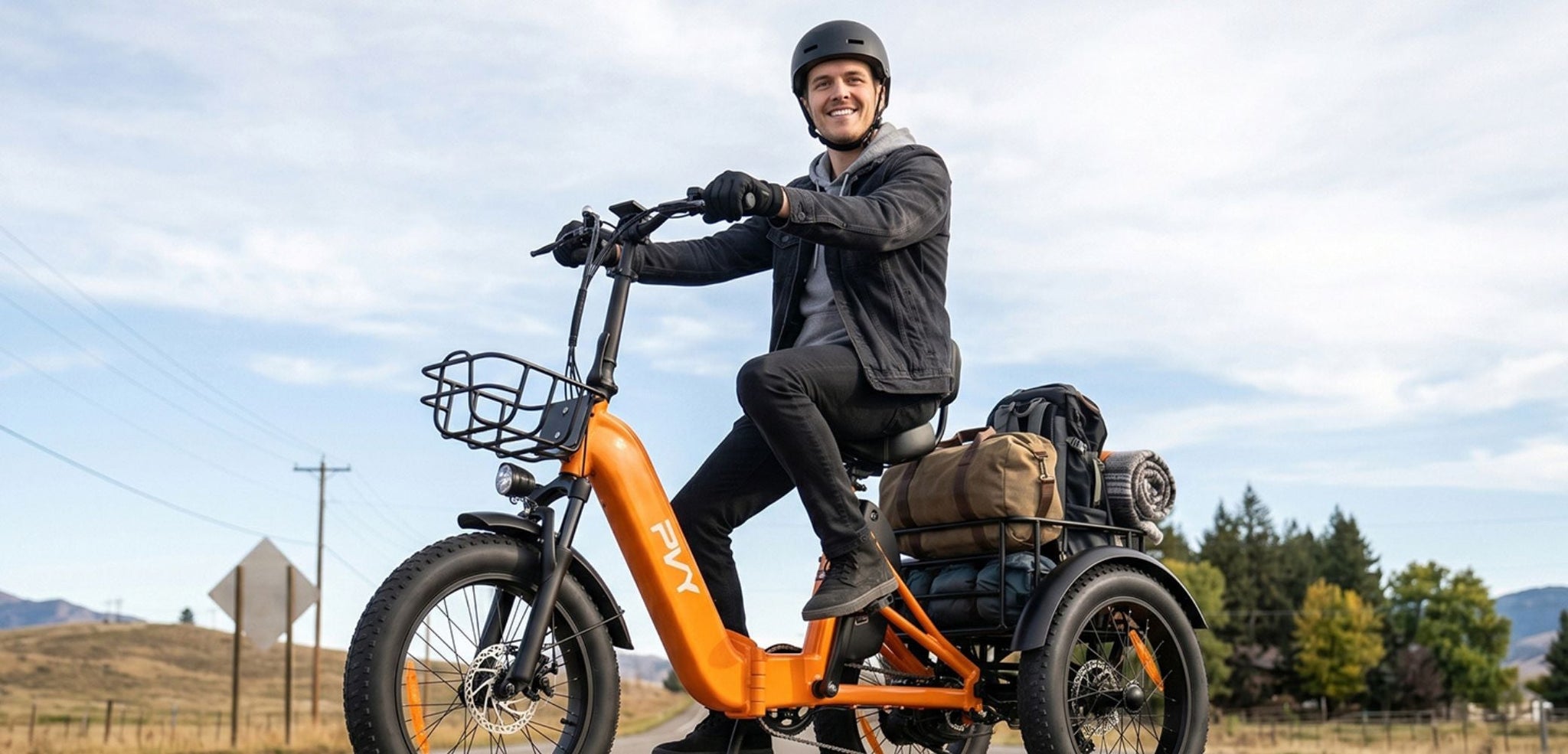 PVY F20